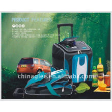 cooling and heating car refrigerator XT-1101A